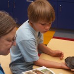 A turtle shell being inspected in firstday school